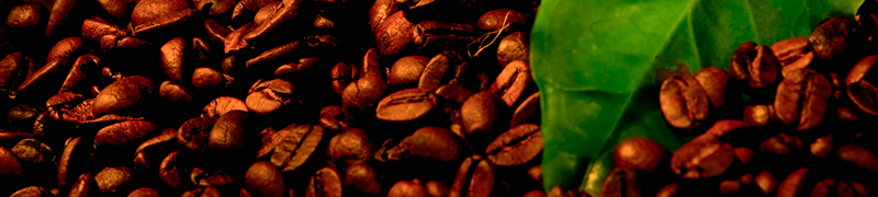 Происхождение и сорта кофе