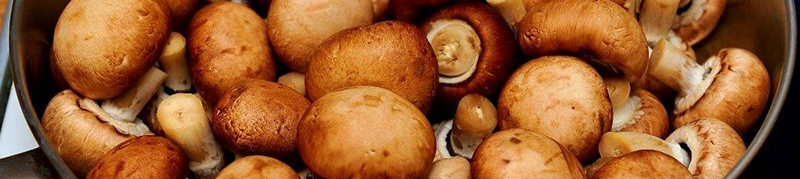 Как правильно готовить и хранить грибы