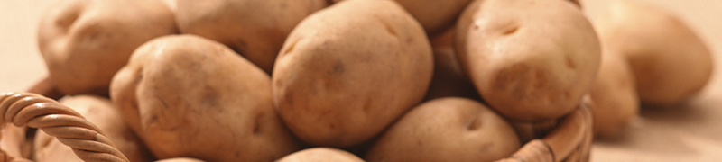 Посевной картофель хранят в отдельных деревянных ящиках
